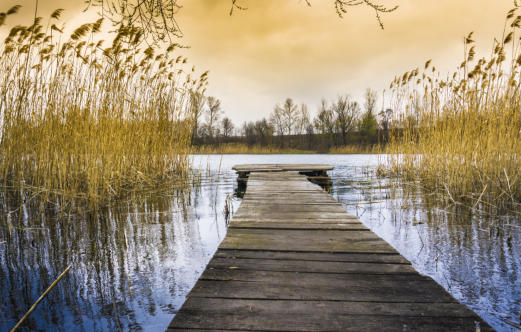 stille Entzündungen und Kinderwunsch